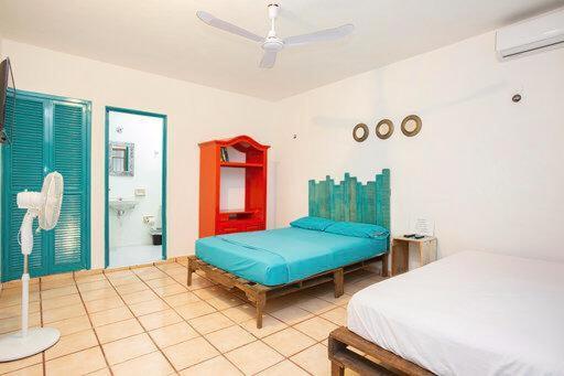 Casa Calido Hotel Cozumel Exteriör bild